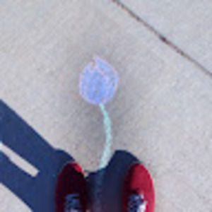 Meet your Posher, Noor